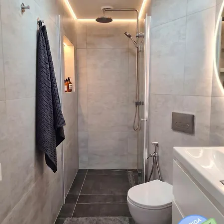 With Loft And Terrace Elevator Is Available Appartement Riga