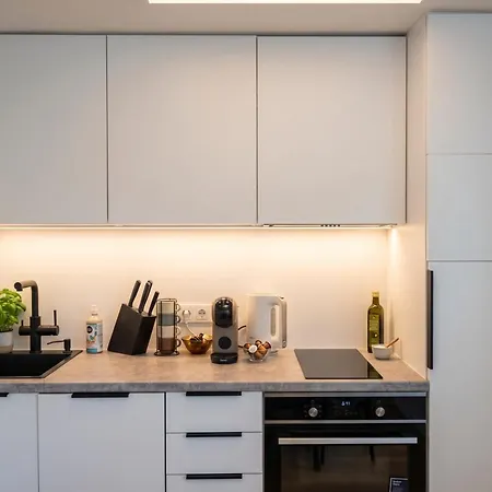 Appartement With Loft And Terrace Elevator Is Available